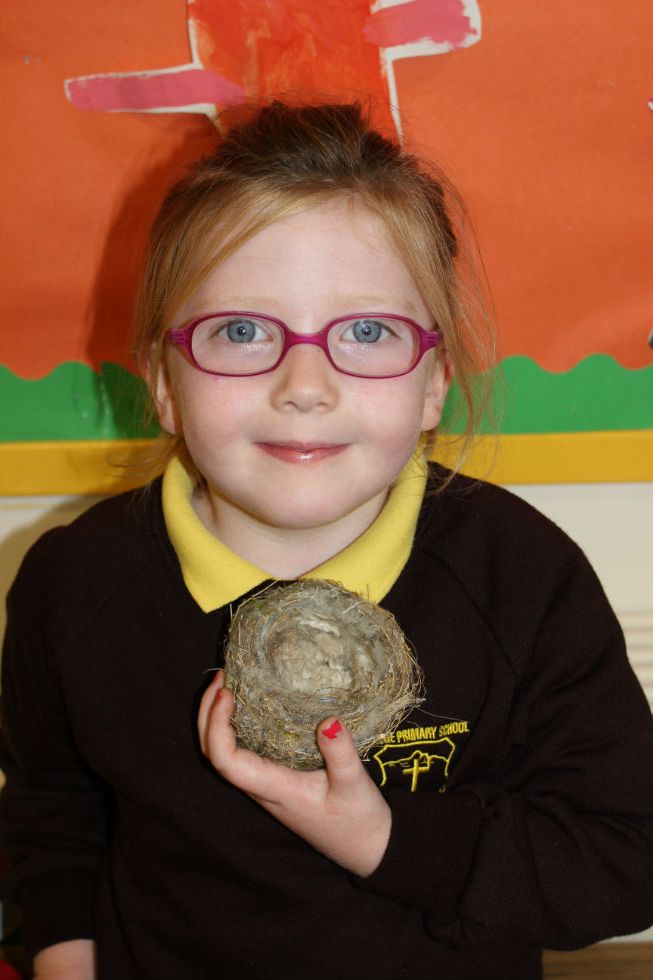 Look what Siofra found!