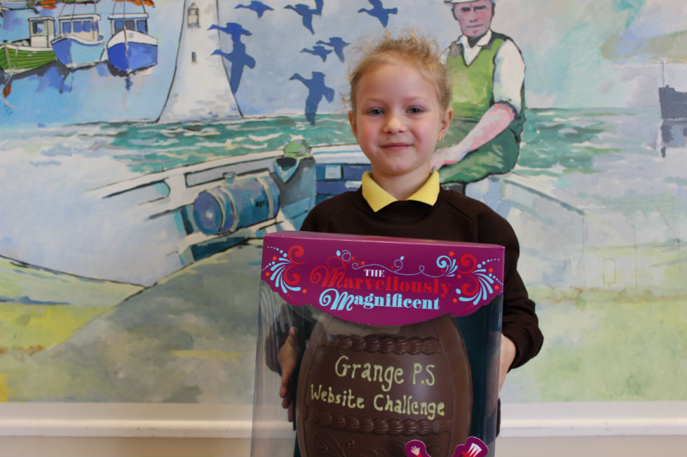 Website Challenge Winner