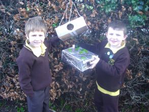 Bird Boxes for Grange