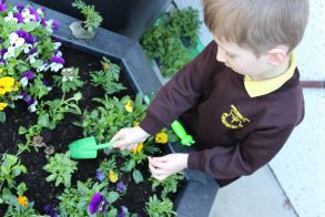 Planting in Spring