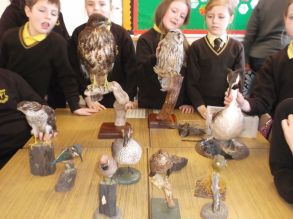 Lough Neagh Discovery Centre Visit P5/6