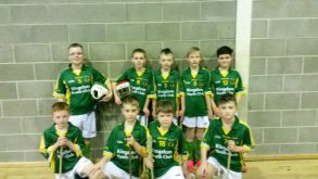 Cumann na mBunscoil Hurling Competition