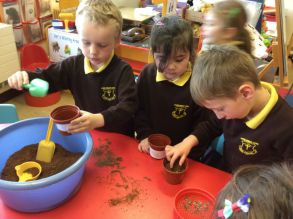 Planting in Primary One
